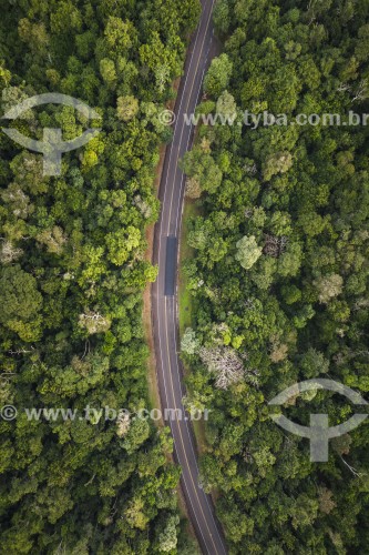 Foto feita com drone de estrada cortando o Parque Nacional do Iguaçu - Foz do Iguaçu - Paraná (PR) - Brasil
