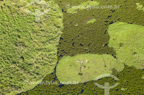 Foto feita com drone de Lago na paisagem alagada do Pantanal - Refúgio Caiman - Miranda - Mato Grosso do Sul (MS) - Brasil
