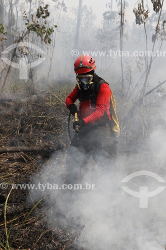 Bombeiros trabalhando para conter queimada em vegetação de várzea da floresta amazônica - Iranduba - Amazonas (AM) - Brasil