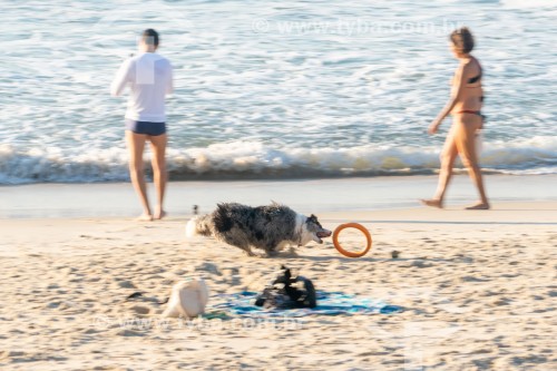 Cachorro correndo na Praia do Diabo - Rio de Janeiro - Rio de Janeiro (RJ) - Brasil