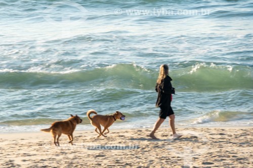 Cachorros correndo na Praia do Diabo - Rio de Janeiro - Rio de Janeiro (RJ) - Brasil