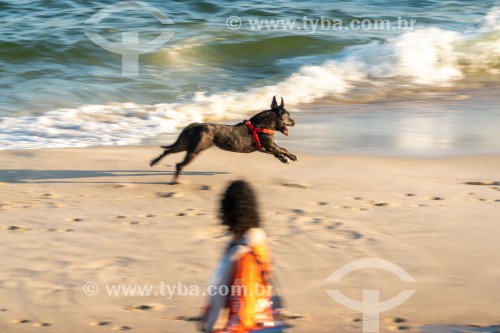 Cachorro correndo na Praia do Diabo - Rio de Janeiro - Rio de Janeiro (RJ) - Brasil