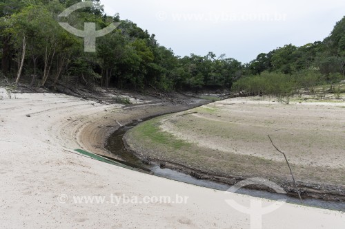 Praia no Rio Negro durante forte seca que atingiu a região - Manaus - Amazonas (AM) - Brasil