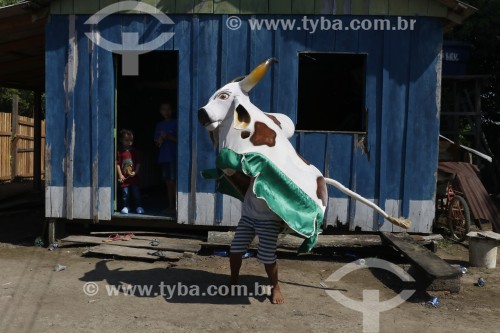 Folclore popular do Boi Malhadinho (Boi Estrelinha) na comunidade Nossa Senhora das Lágrimas - Parintins - Amazonas (AM) - Brasil