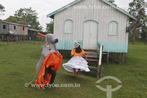 Folclore popular do Boi Saracurinha da Comunidade Saracura - Parintins - Amazonas (AM) - Brasil