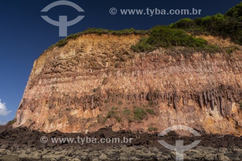 Detalhe de falésia na Praia do Madeiro - Tibau do Sul - Rio Grande do Norte (RN) - Brasil