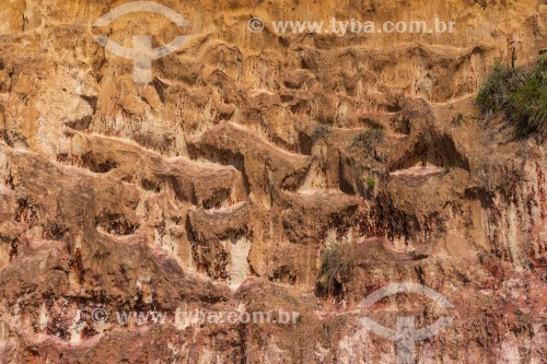 Detalhe de falésia na Praia do Madeiro - Tibau do Sul - Rio Grande do Norte (RN) - Brasil