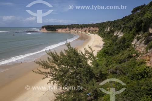 Falésias na Praia da Baía dos Golfinhos  - Tibau do Sul - Rio Grande do Norte (RN) - Brasil