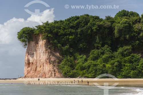 Falésias na Praia da Baía dos Golfinhos  - Tibau do Sul - Rio Grande do Norte (RN) - Brasil