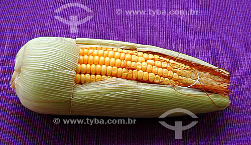  Ear of corn (Corn-cob) 