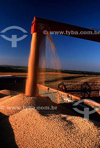  Soybean collection machine at work - Parana state - Brazil 