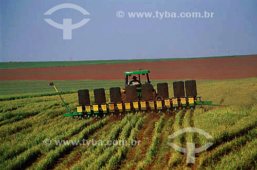  Soybean harvesting machine at work - Itiquira - Mato Grosso state - Brazil 