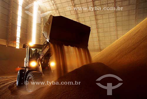  Soja handling on warehouse - High Araguaia - Mato Grosso - Brazil - 04/2004 