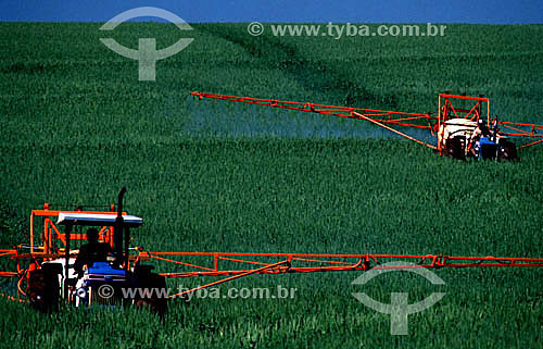  Mechanical cultivation of a wheat plantation - Rio Grande do Sul state - Brazil 