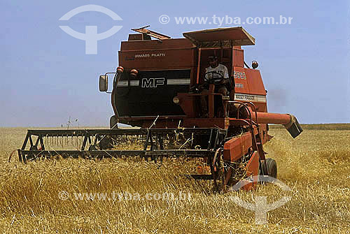  Agriculture - Hardware during the wheat harvest - Rio Grande do Sul state - Brazil - January 2005 