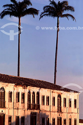  Detail of old architecture with palm trees in the backround  - Campos dos Goytacazes city - Brazil