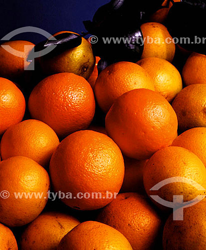  Oranges  