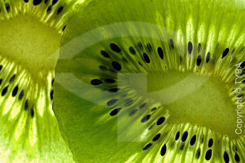  Kiwi fruit 