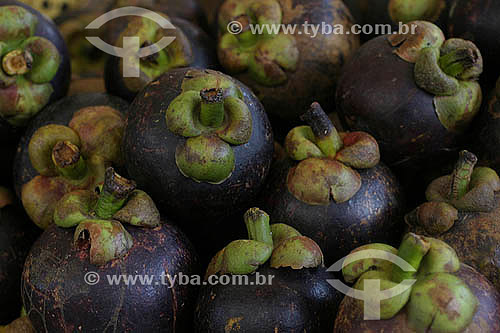  (Garcinia mangostana) - Mangosteen fruit exposed in the 