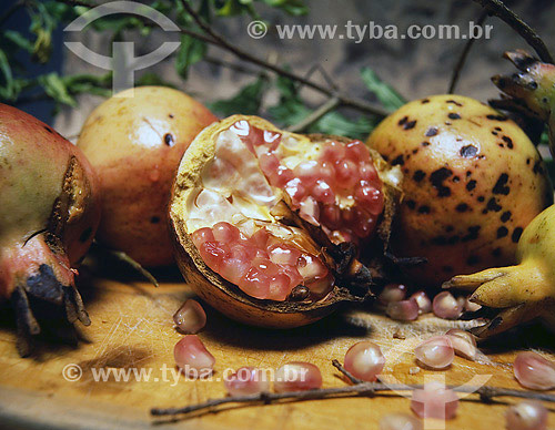  Fruit - Pomegranate 