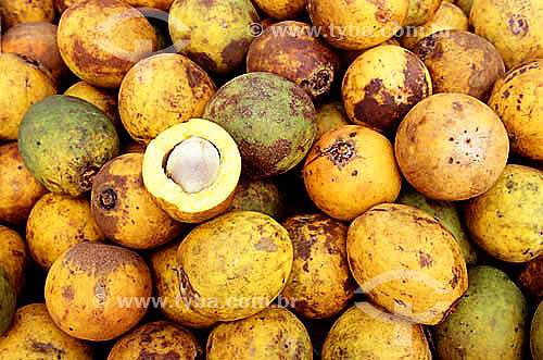  Bacuri (fruit from the North region) detail in the Ver-o-Peso Market (See the Weight Market)  - Belem city - Para state (PA) - Brazil