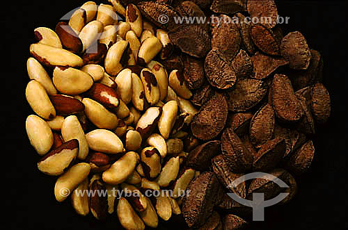  Amazonian cashews (Bertholletia excelsa), shelled cashew nuts - Brazil 
