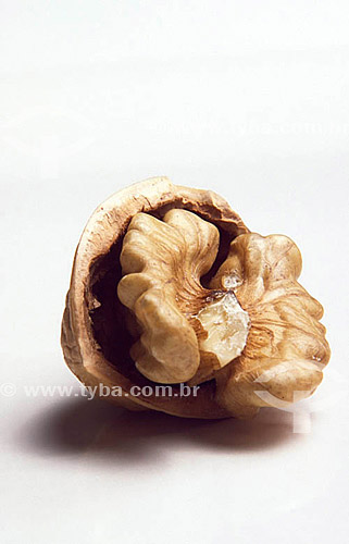  Nut - fruit 