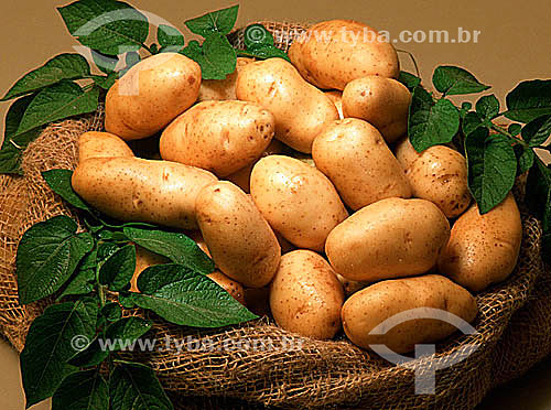  Potatoes 