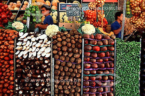  Various vegetables at Cobal Market - Rio de Janeiro city - Rio de Janeiro state - Brazil 