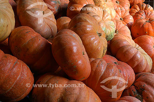  Agriculture - Vegetables - Pumpkins 