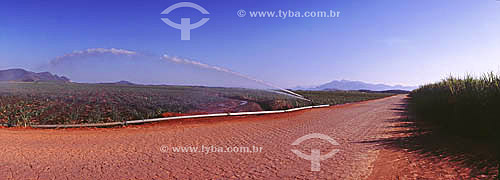  Sugarcane Field - irrigation - Campos city - Rio de Janeiro state - Brazil 