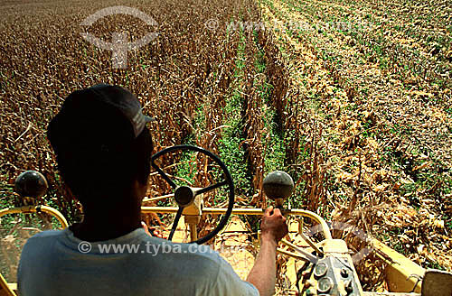  Worker driving harvesting machine - Brazil 