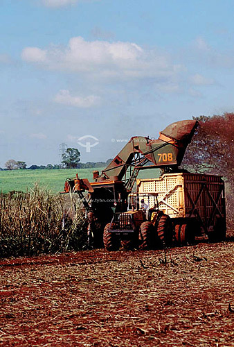  Agriculture - Mechanized harvest of sugar cane - Dumont city - Sao Paulo state - Brazil 