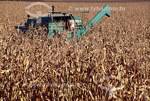  Agriculture - Farm equipment during the corn harvest - Sao Jose dos Campos city - Sao Paulo state - Brazil 