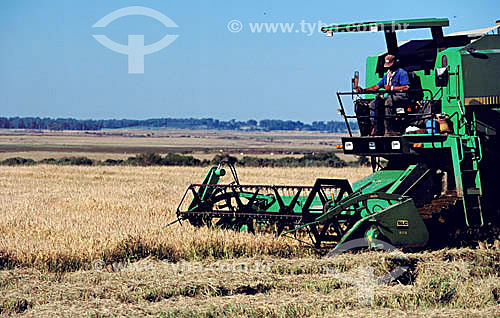  Agriculture - Farm equipment during the rice harvest - Rio Grande do Sul state - Brazil 