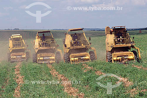  Agriculture - Farm equipment during the bean harvest - Itabera city - Sao Paulo state - Brazil 