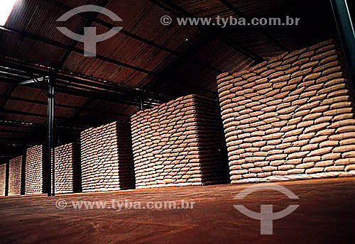  Coffee being stored in sacks for export - Brazil 