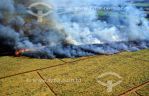  Agriculture - Sugar cane burning - Between Bauru city and Campinas city - Sao Paulo state - Brazil 