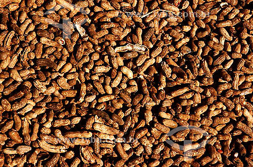  Detail of unshelled peanuts - Brazil 