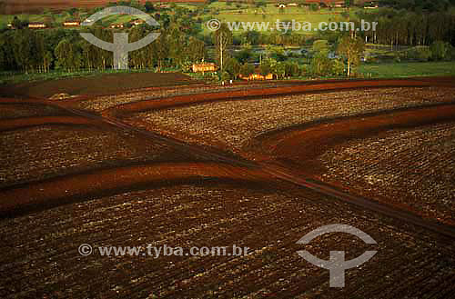  Subject: Agriculture on terras roxas (purple soil), considered the most fertile soil of Brazil / Place: Foz do Iguacu city - Parana state (PR) - Brazil / Date: 2001 