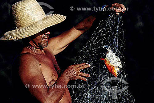  Fisherman observing a piranha fish - Amazonian region - Brazil  
