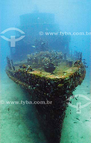  Corveta Ipiranga shipwreck - Fernando de Noronha island - Pernambuco state - Brazil 