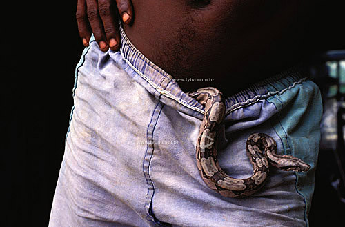  Snake going out of bermuda shorts of a man - Alcantara city - Maranhao state - 1990 - Brazil 