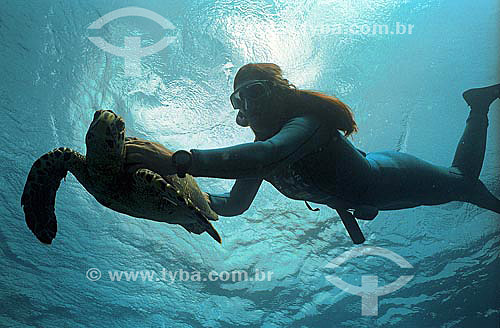  Diver holding a turtle - TAMAR Project* - Brazil * Brazilian Program for the Conservation of the Sea Turtles, coordinated by IBAMA (Brazilian Institute of Environment and Renewable Natural Resources). 