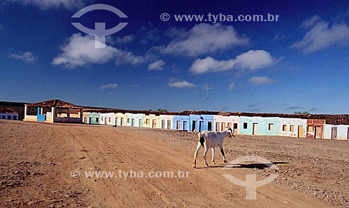  Goat on dirt road with modest houses of colorful facades in the background - Northeast region - Brazil 