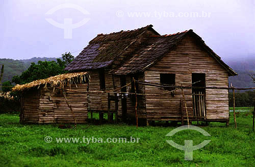  Habitation in indian area of Oiapoque city - Amapa state - Brazil 