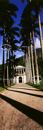  Botanic Garden* - Rio de Janeiro city - Rio de Janeiro state - Brazil  * It is a National Historic Site since 05-30-1938. 