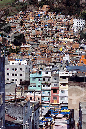  Favela da Rocinha Slum - Rio de janeiro city - Rio de janeiro state - Brazil 
