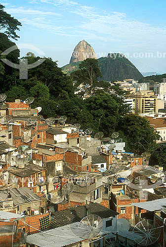 Dona Marta slum with Pão de Açúcar (Sugar loaf Moutain) in the background - Rio de Janeiro city - Rio de Janeiro state - Brazil 