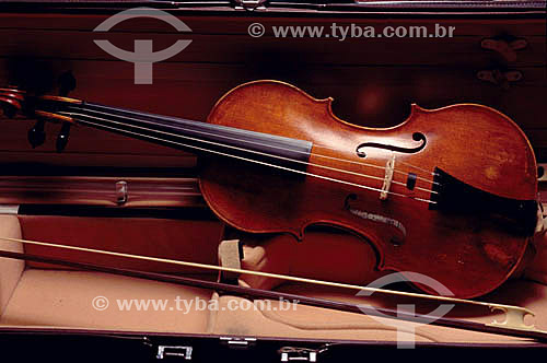  Musical instrument - violin 